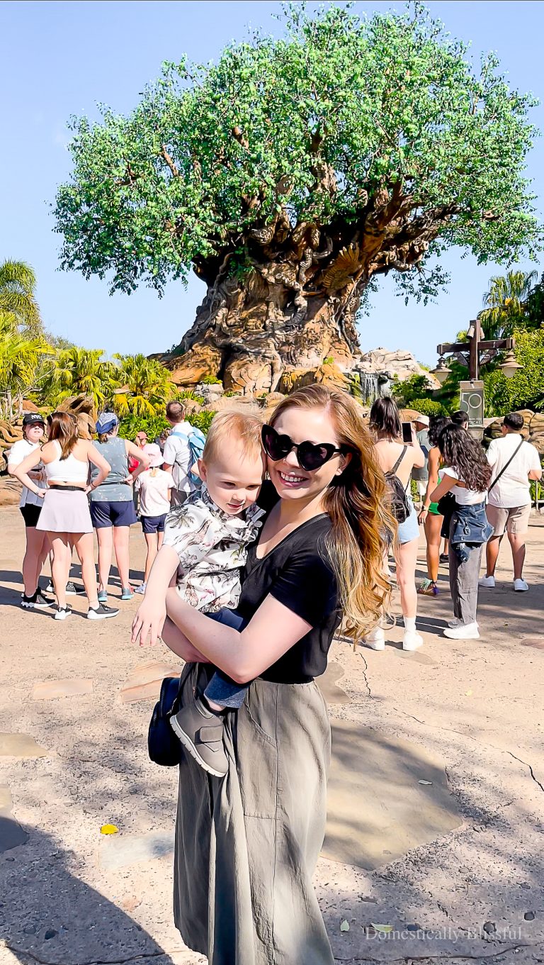 Our #1 Must-Bring Item to Disney World for children, bags, and stroller.