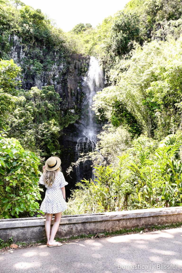 20 Incredible Stops on the Road to Hana Maui with tips to help you plan your day trip around the east side of Maui.