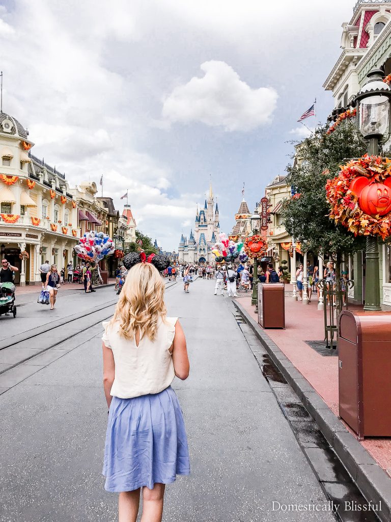 5 Ways to Visit Disney World When It’s Closed to the general public.