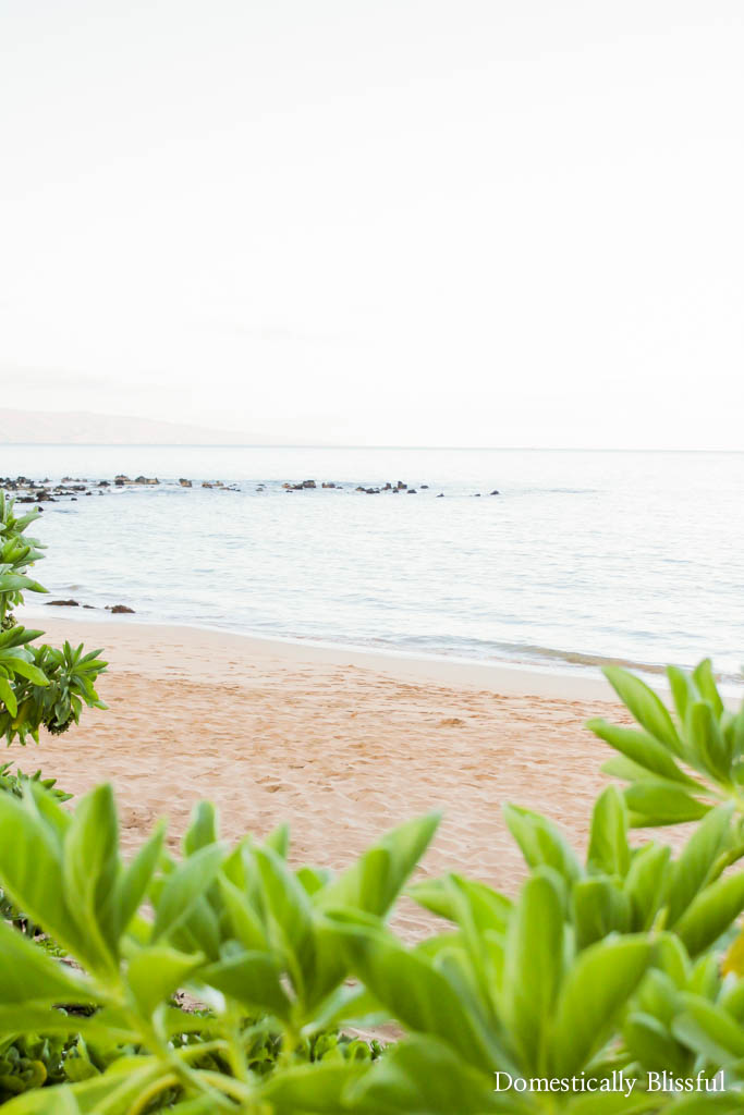 25 Ways to Stay Cool This Summer when it's way too hot to do anything else!