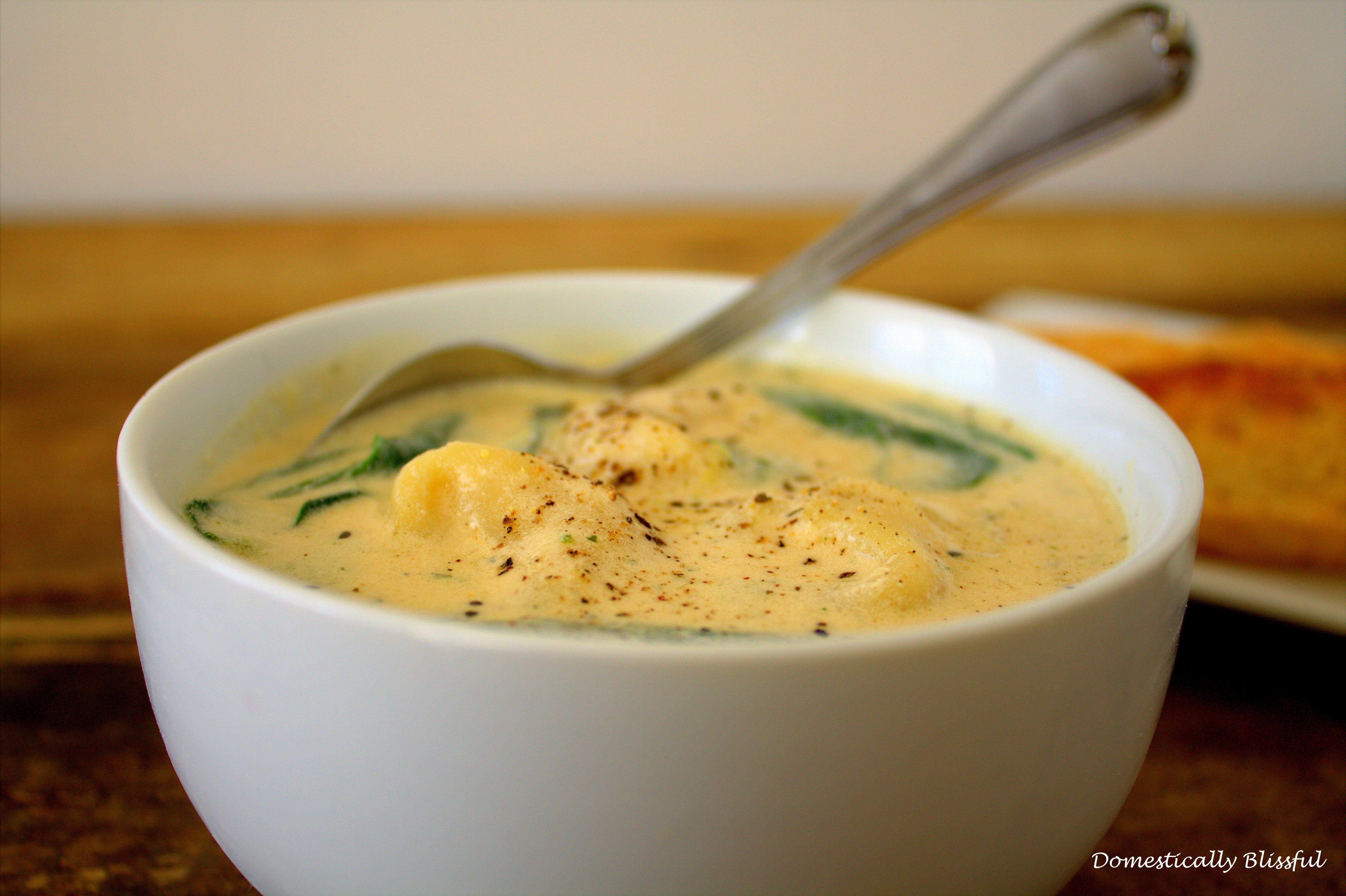 Creamy Tortellini Soup