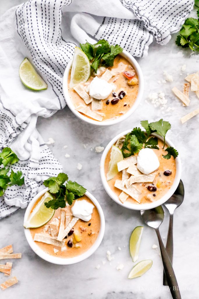 This Vegetarian Creamy Tortilla Soup is a fun creamy twist on traditional vegetarian tortilla soup. 