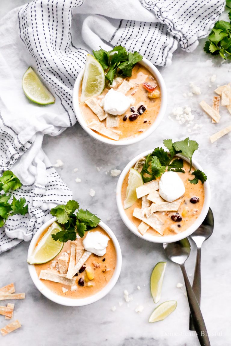 This Vegetarian Creamy Tortilla Soup is a fun creamy twist on traditional vegetarian tortilla soup.