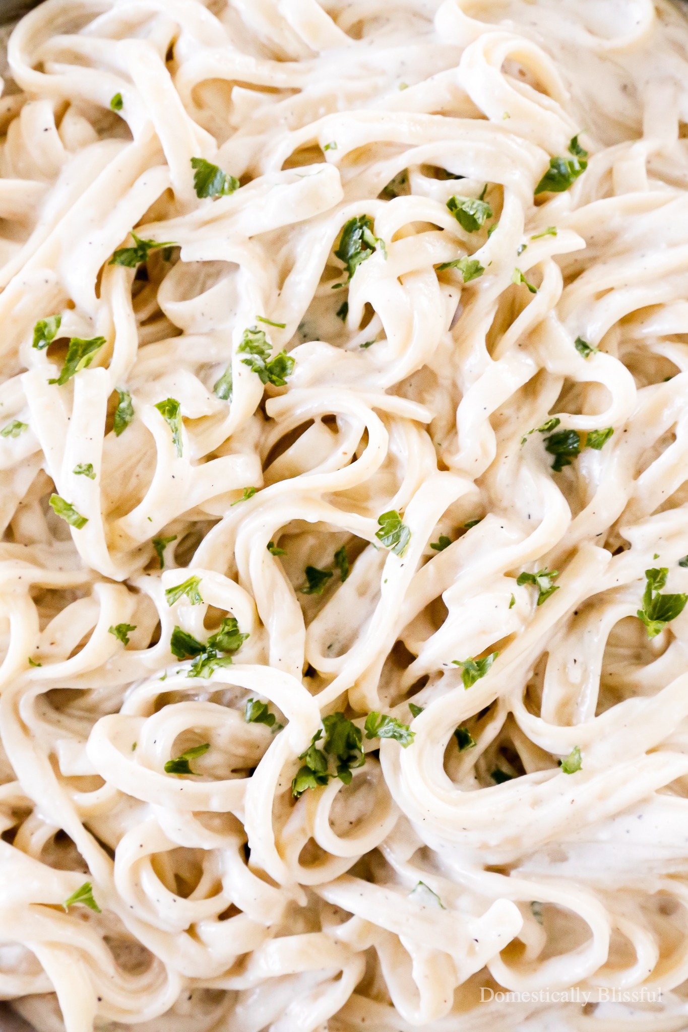 This homemade Creamy Alfredo Sauce is our family's favorite and has a secret ingredient you may not expect!