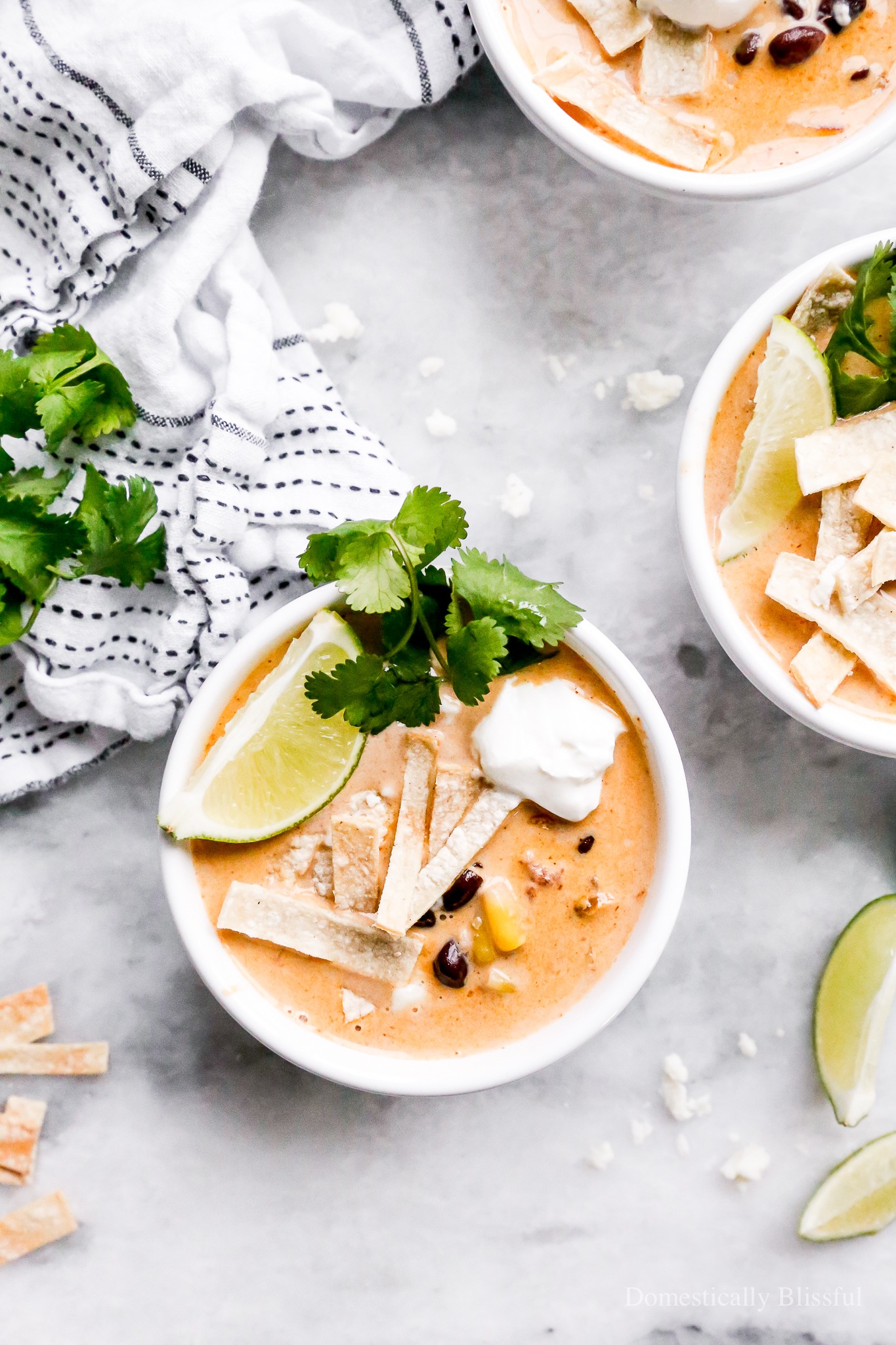 This Vegetarian Creamy Tortilla Soup is a fun creamy twist on traditional vegetarian tortilla soup. 