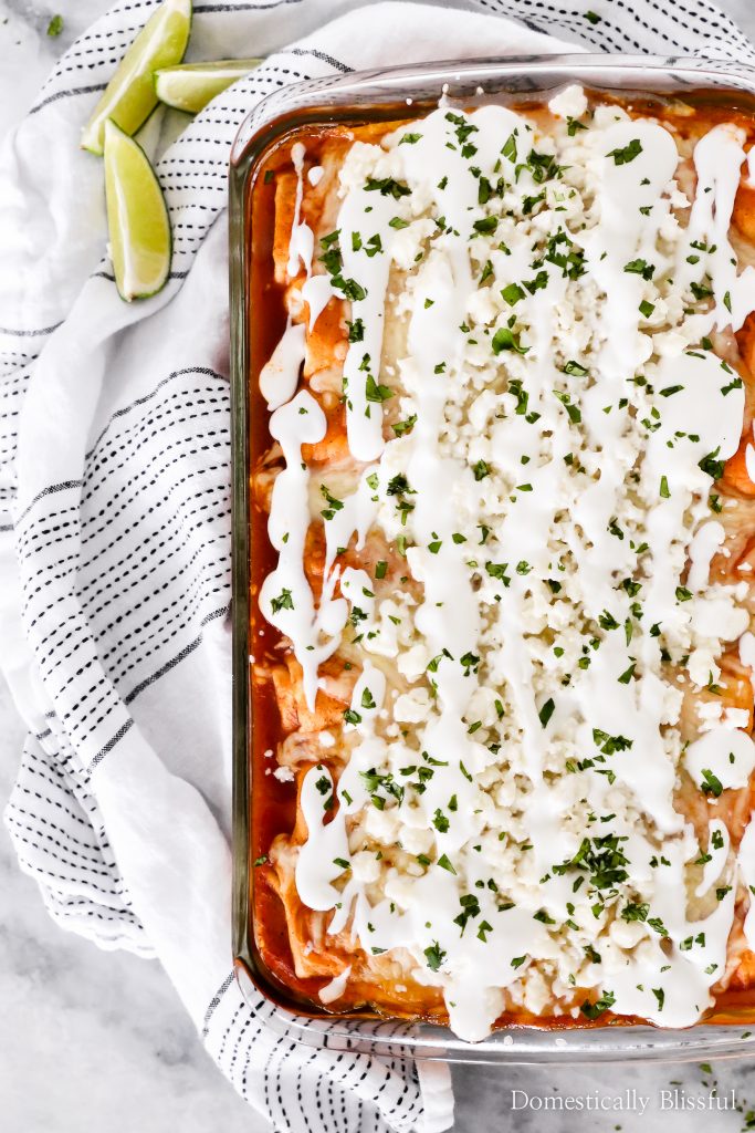 This Vegetarian Enchiladas recipe is topped with fresh flavors and filled with zucchini, broccoli, red pepper, corn, and black beans for a deliciously filling dinner. 