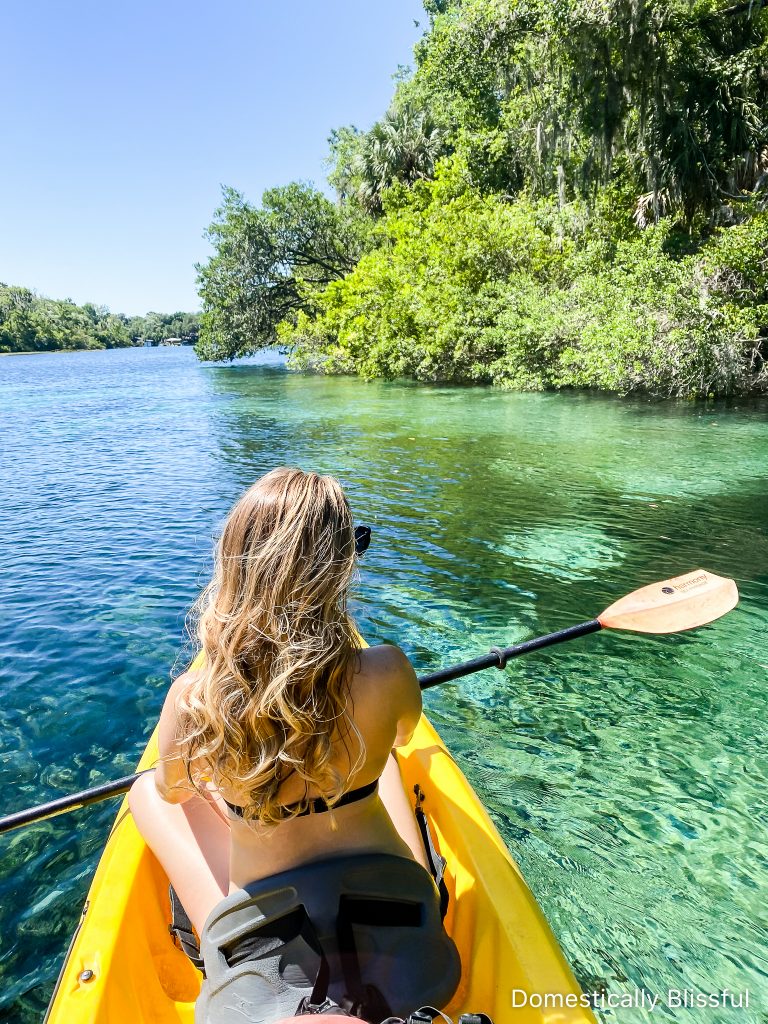 5 Tips for Visiting Rainbow Springs, Florida, for a day trip you'll love!