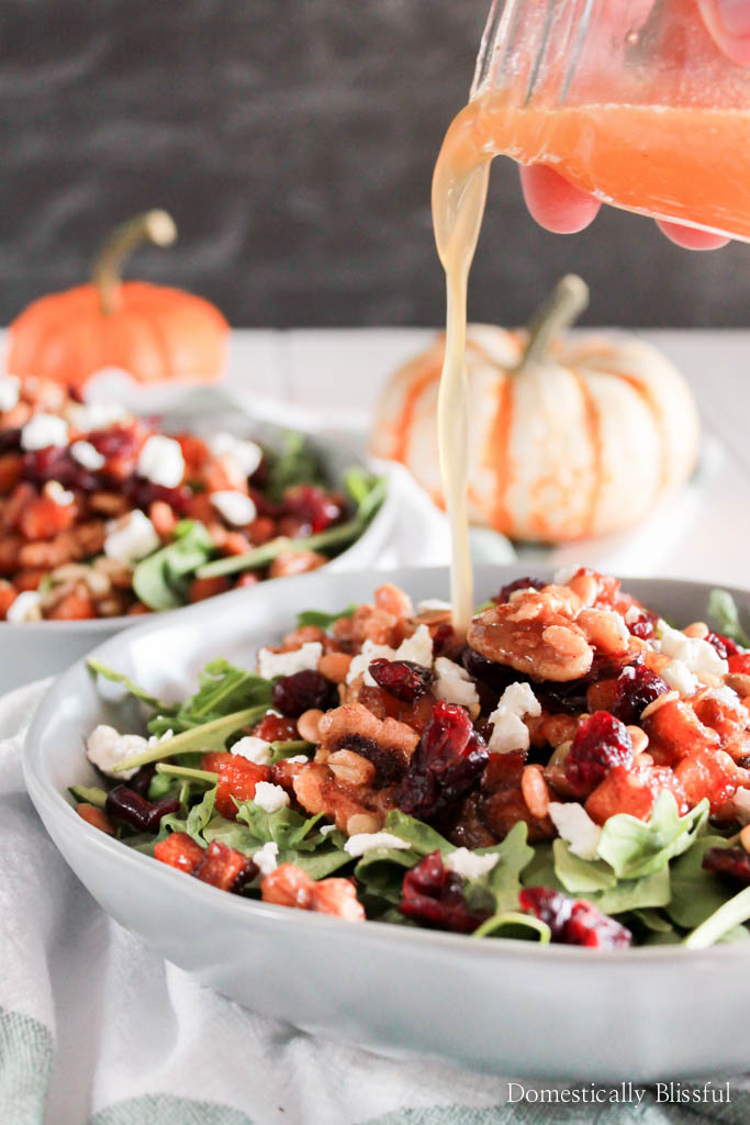 Roasted Butternut Squash Salad with Goat Cheese is a simply delicious fall salad covered in warm flavors and topped with homemade honey apple cider salad dressing.