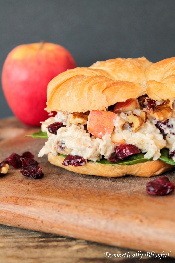 Vegetarian Apple Cranberry Chicken Salad Sandwich