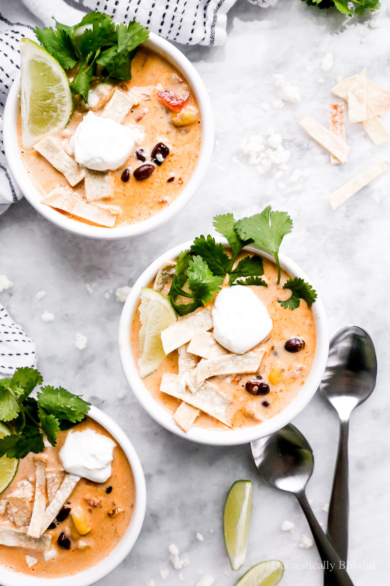 This Vegetarian Creamy Tortilla Soup is a fun creamy twist on traditional vegetarian tortilla soup. 