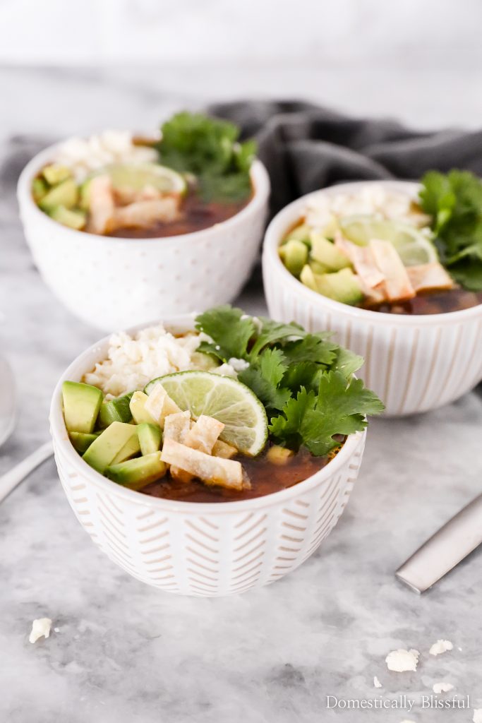 This Vegetarian Tortilla Soup is topped with fresh flavors and oven-roasted corn tortilla chips.