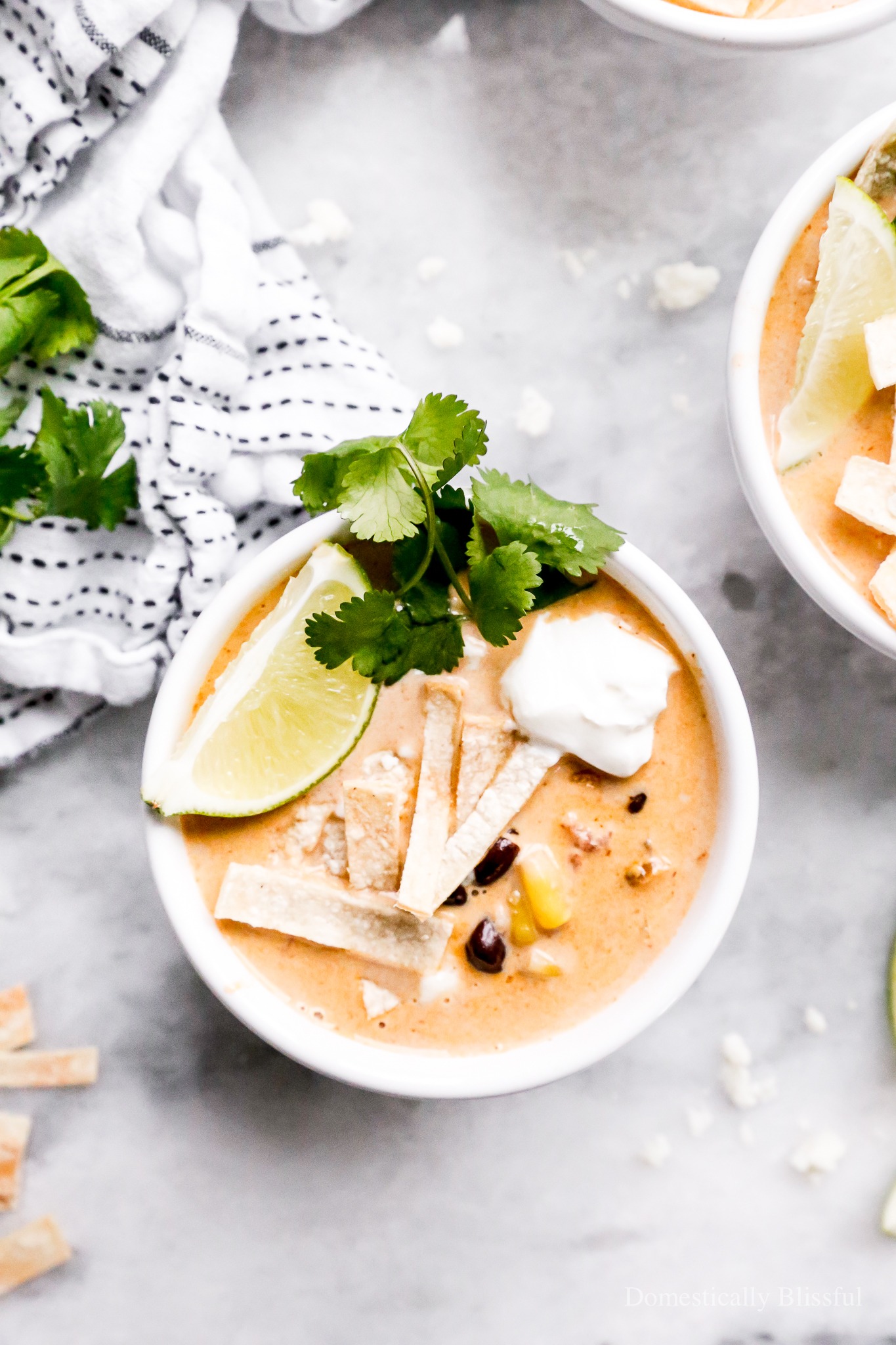 This Vegetarian Creamy Tortilla Soup is a fun creamy twist on traditional vegetarian tortilla soup. 