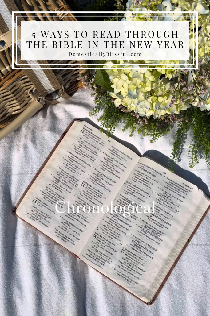 5 Ways to Read Through the Bible in the New Year to help you discover more Biblical treasures while drawing closer to Christ.