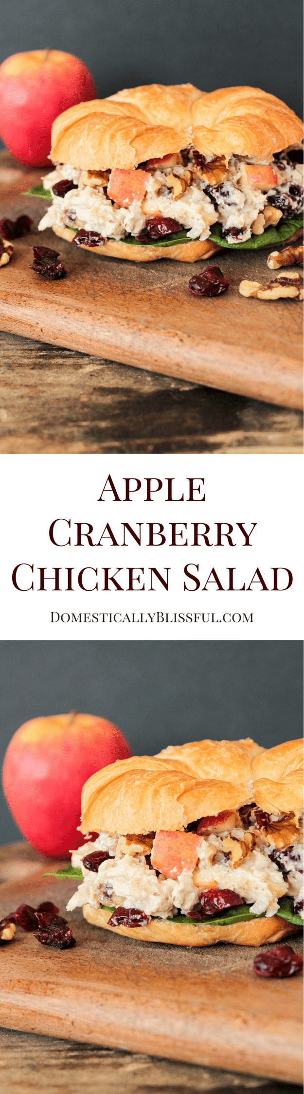 Apple Cranberry Chicken Salad recipe from Domestically Blissful