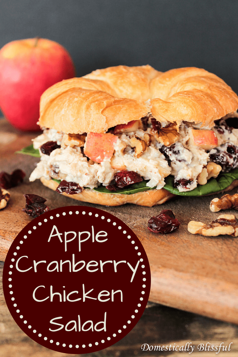 Apple Cranberry Chicken Salad
