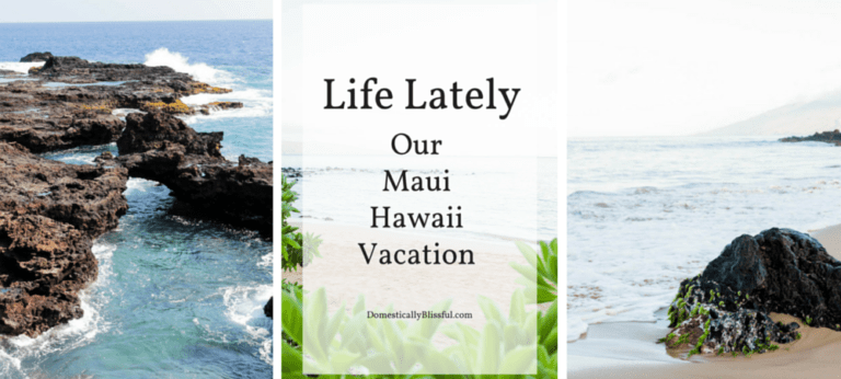 A little peak at our Maui Hawaii Vacation during Roger's final spring break of dental school in 2016.
