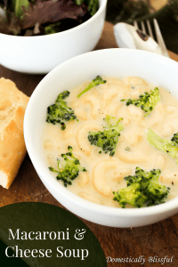 Macaroni and Cheese Soup