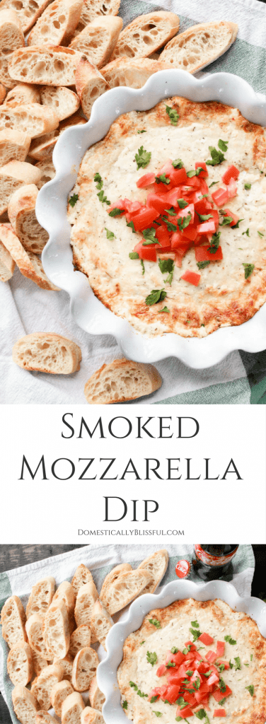 This Smoked Mozzarella Dip is filled with creamy flavors & is the perfect warm appetizer for any party or family gathering!