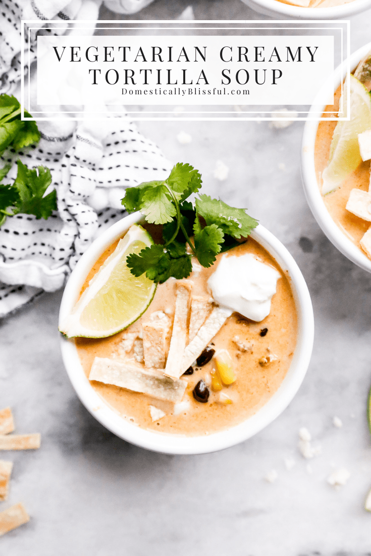 This Vegetarian Creamy Tortilla Soup is a fun creamy twist on traditional vegetarian tortilla soup. 