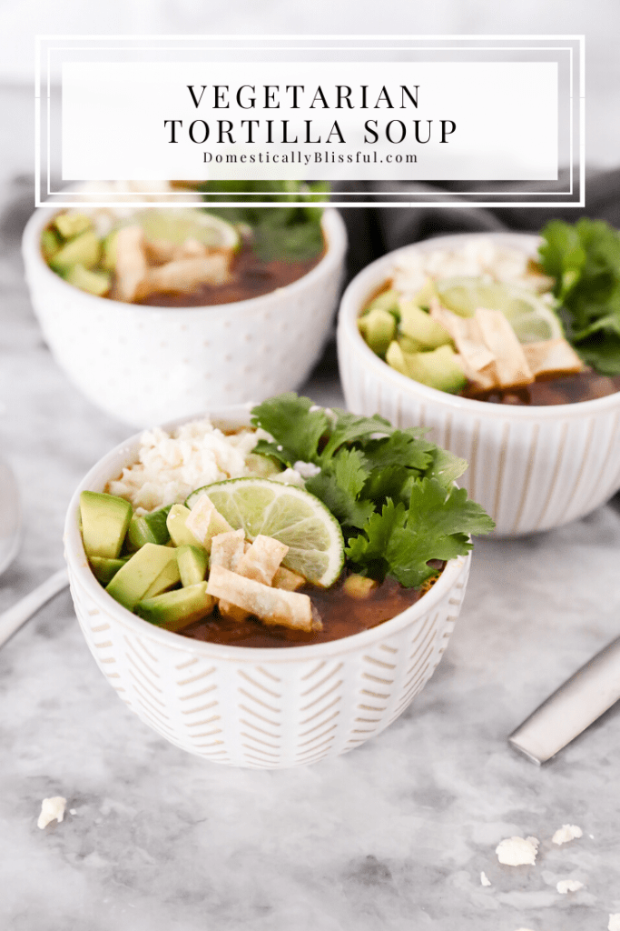 This Vegetarian Tortilla Soup is topped with fresh flavors and oven-roasted corn tortilla chips.