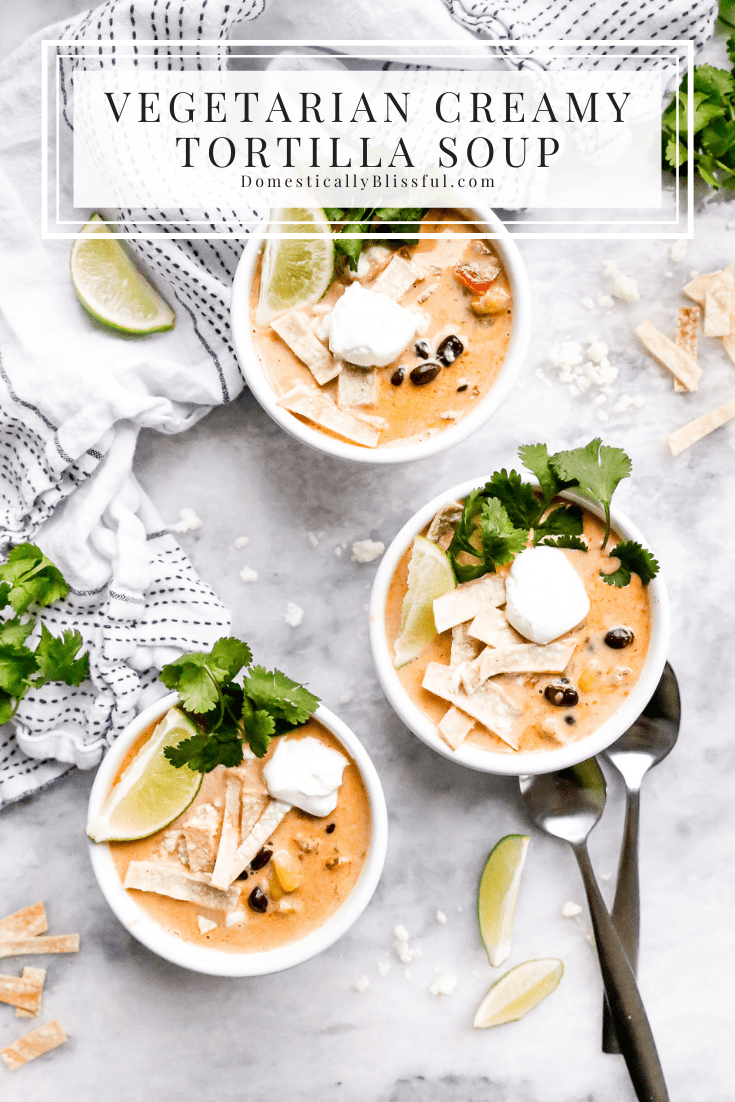 This Vegetarian Creamy Tortilla Soup is a fun creamy twist on traditional vegetarian tortilla soup. 