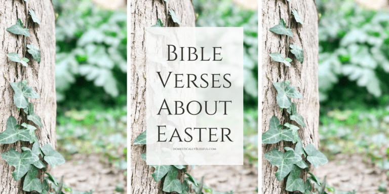 Bible verses about Easter to bring our focus back to the real celebration of the resurrection of Jesus.